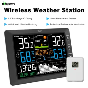 Weather Station with Atomic Clock 8-Channel